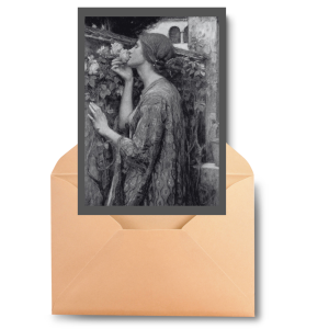 Blank Greeting Card - Soul of a Rose