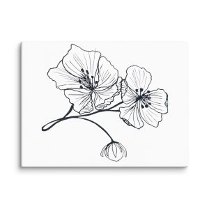 Line Art Wall Art on Canvas - Poppy