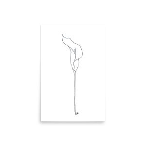 Line Art Wall Art on Poster - Calla Lily