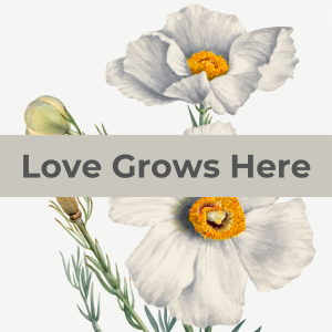 Printable Motivational Quote Vintage Wall Art - Matilija Poppy