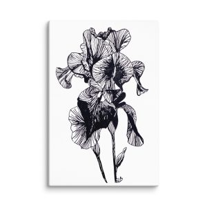 Line Art Wall Art on Canvas - The Iris